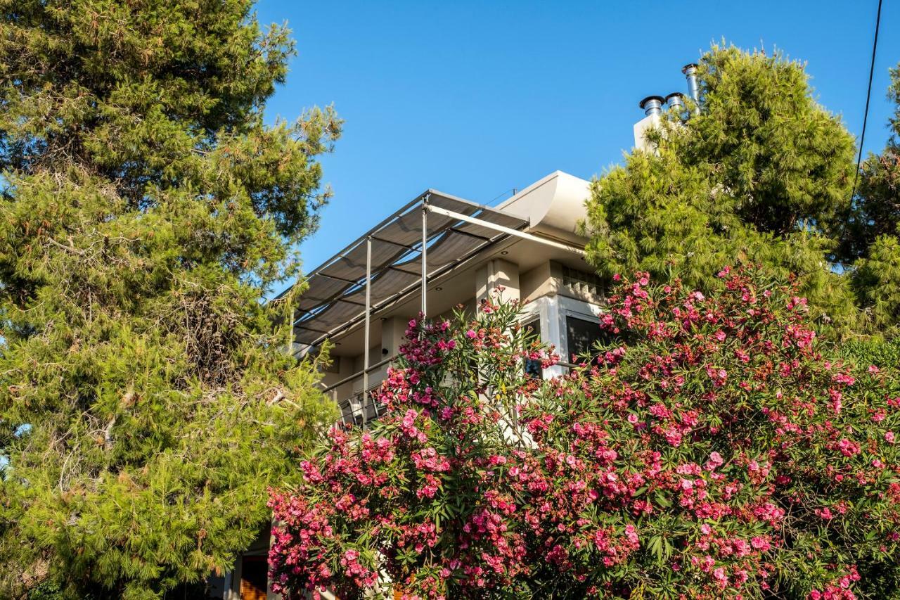 Villa Aeras Kato Daratso Ngoại thất bức ảnh